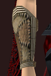 Naturalist's Bands of Harmony (Equipped)