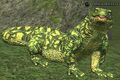 A thicket lizard.jpg