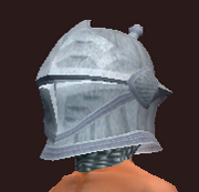 Peerless Sentry's Helmet (Equipped)