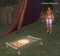 A Safar of Maj'dul (DW).jpg
