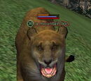 A mountain lion