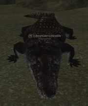 A deepwater crocodile