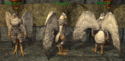 Aviak (Templar) Placed