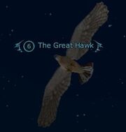 The Great Hawk