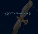 The Great Hawk
