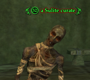 A Sulite curate