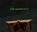 A guardian writ