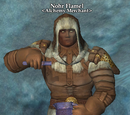 Nohr Flamel