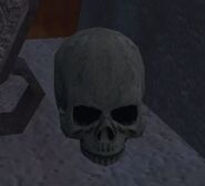 Garanel's Scorched Skull in your house