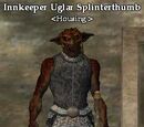 Innkeeper Uglar Splinterthumb