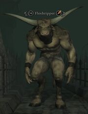Fleshripper (Monster)