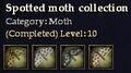 CQ moth spotted Journal.jpg