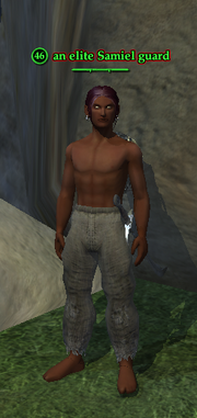 An elite Samiel guard
