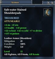 Salt-water Stained Shoulderpads