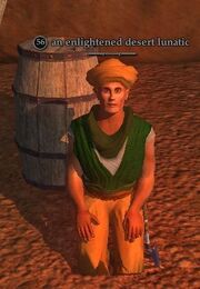 An enlightened desert lunatic