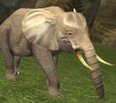 A war elephant (Maulic's Stronghold)