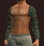 Wanderer's Shoulder Pads (Equipped)