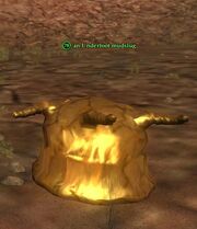 An Underfoot mudslug