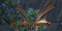 An aerakyn realmstalker