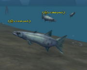 A Cobalt perch