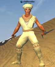 A Raj'Dur raider