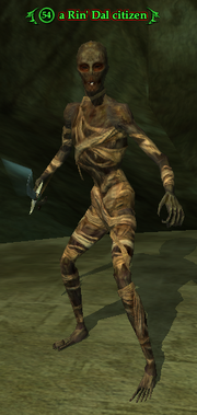 A Rin' Dal citizen (heroic)
