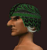 Coif of the Primalist Nature (Equipped)