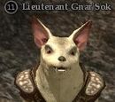Lieutenant Gnar'Sok