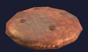 Desert Rose Cushion (Visible)