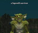 A Sapswill survivor