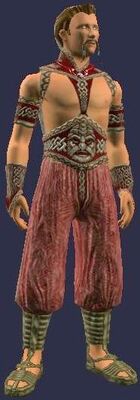 Triumphant Hero (Armor Set) (Visible, Male)
