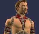 Triumphant Hero (Armor Set)