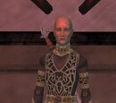 High Commander Fawzi Zaim