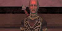 High Commander Fawzi Zaim