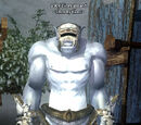 A Ry'Gorr guard