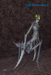The Hierodule