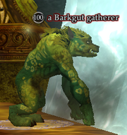 A Barkgut gatherer