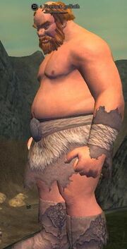 A Firerock goliath