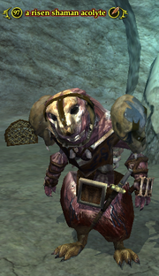 A risen shaman acolyte