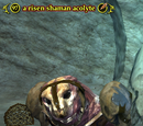 A risen shaman acolyte