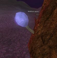 Fetidhorn Spore