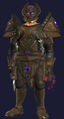Champion of the Elements (Equipped).jpg
