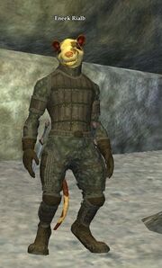 Eneek Rialb