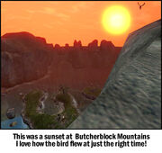Sunsetbbsm