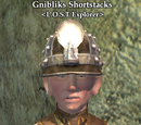 Gnibliks Shortstacks