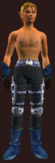 Plate Armor of the Venerated(Worn)