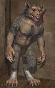 Race werewolf