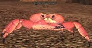 A carrion gorger