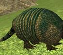 A banded armadillo