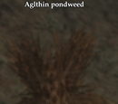 Epic Repercussions